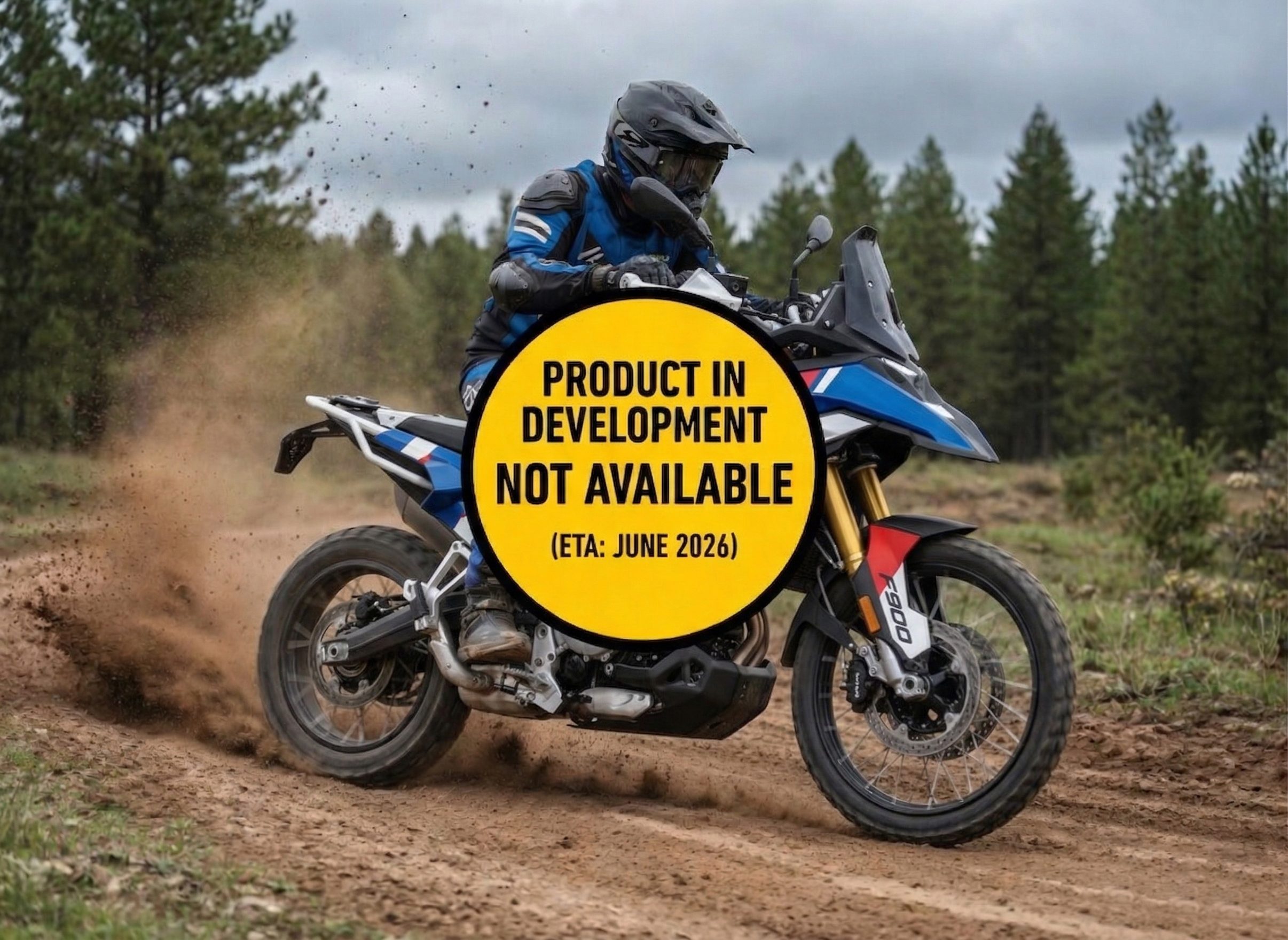 BMW-F450GS BMW F 450 GS – Telai Portaborse - immagine 1